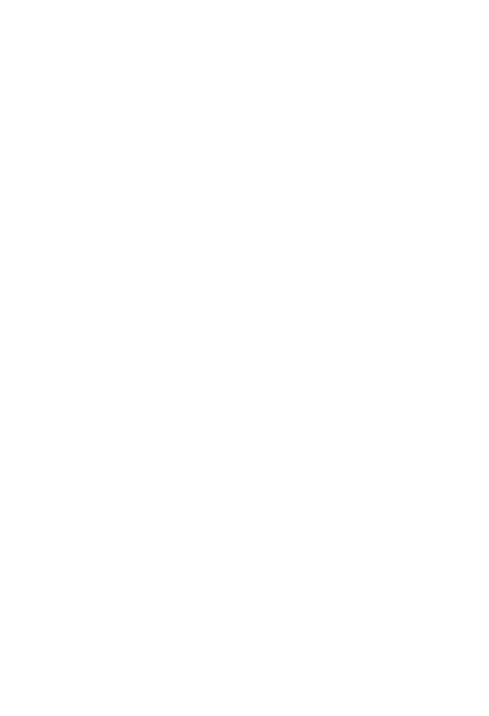 Phoenix-Agent-BG